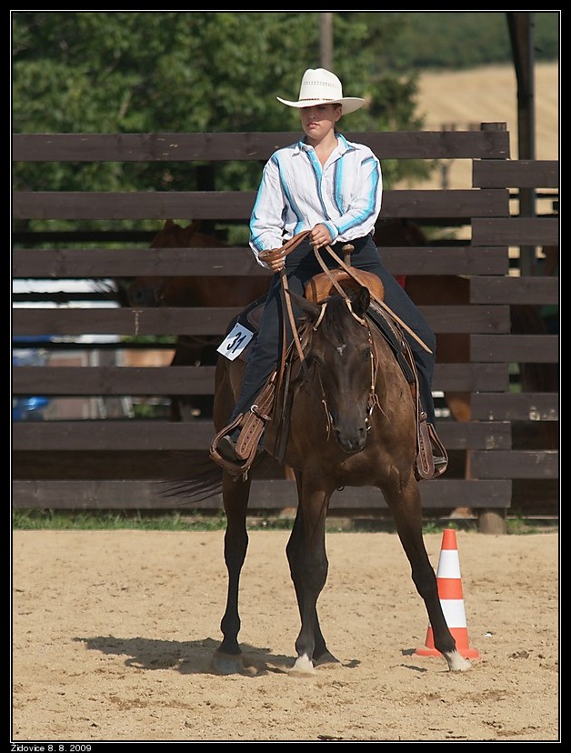 western horsemanship1