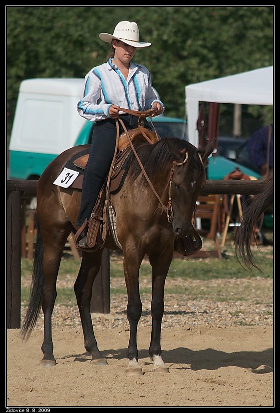 western horsemanship3