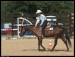 western horsemanship2